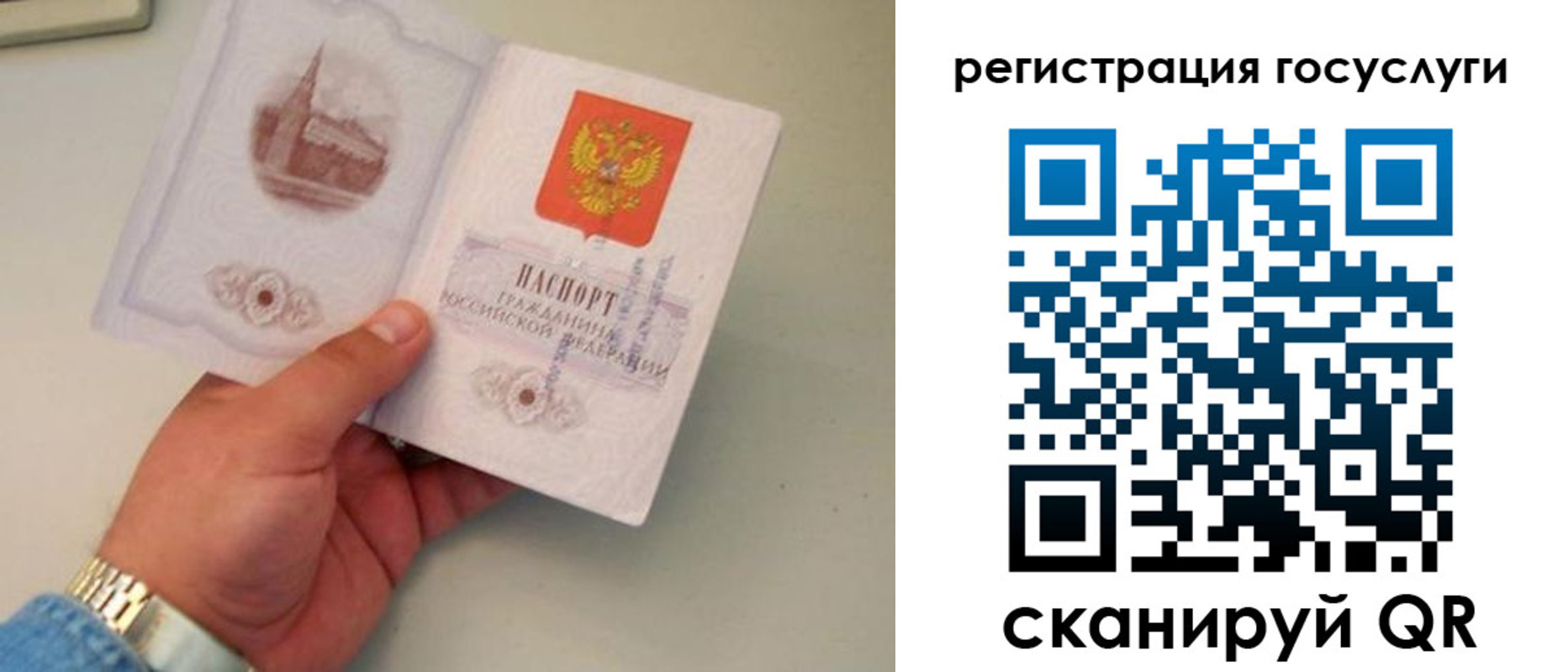 прописка регистрация в Ивантеевке